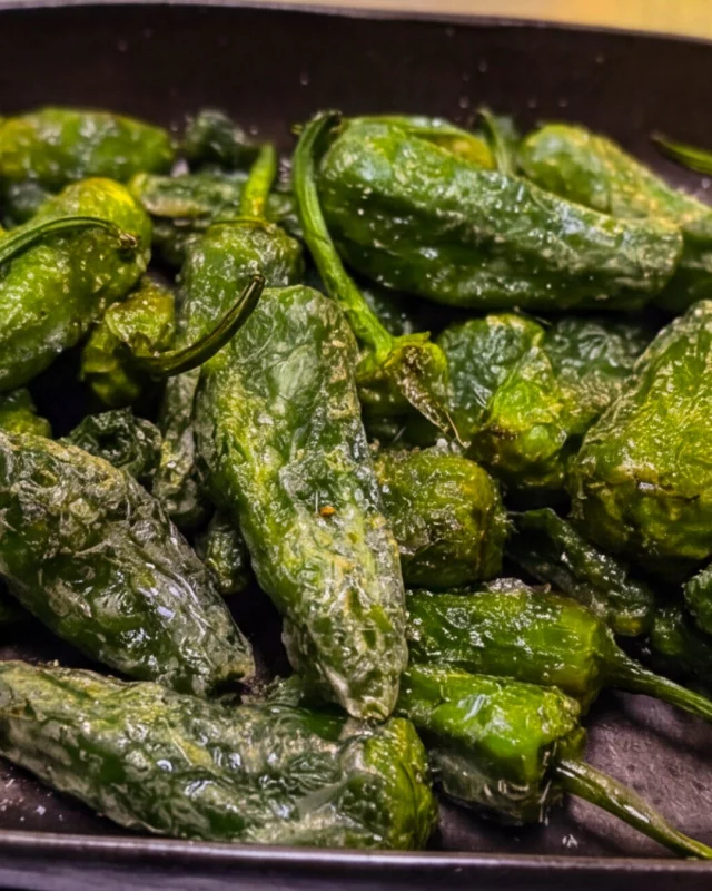 Pimientos de padrón, unos pican y otros non🌶️

El comienzo perfecto para abrir el apetito.

.
#toke  #alcorcon  #restaurante  #pimientos  #verdes